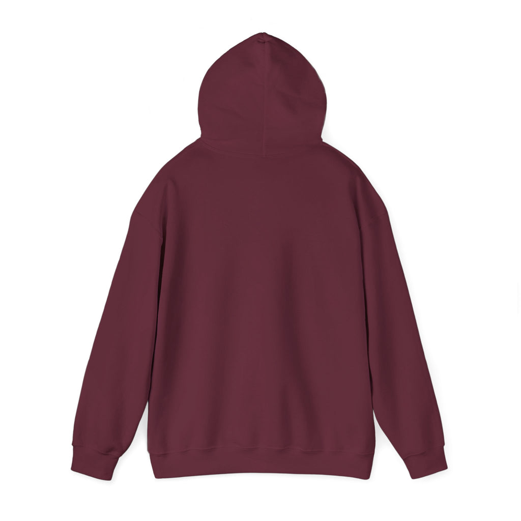 Hoodie — "My Type Is Fictional (Dangerous)" Booklover Graphic Pullover