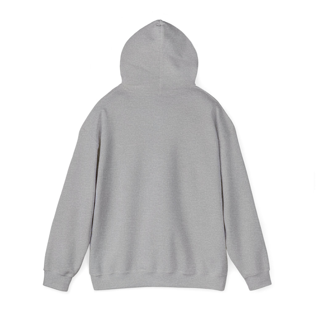 Hoodie — "My Type Is Fictional (Dangerous)" Booklover Graphic Pullover